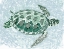 Picture of GREEN TURTLE I