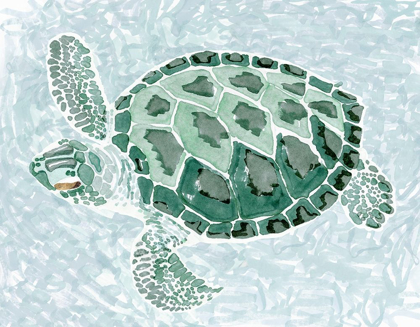 Picture of GREEN TURTLE II