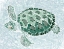 Picture of GREEN TURTLE II