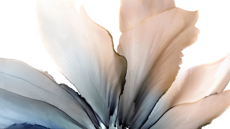 Picture of DELICATE IN BLUE 