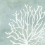 Picture of SEA CROWN II