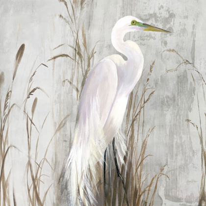 Picture of HERON IN THE REEDS