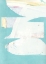 Picture of CARVE II 