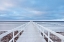 Picture of THE BRIDGE
