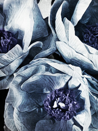 Picture of PEONY BLUE PETALS I 
