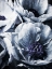 Picture of PEONY BLUE PETALS II