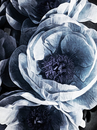 Picture of PEONY BLUE PETALS III