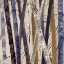 Picture of JUXTAPOSE II 