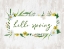 Picture of HELLO SPRING