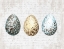 Picture of SPECKLED EGGS