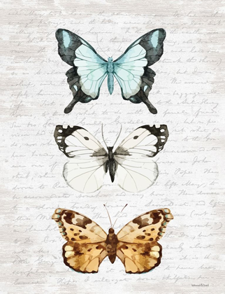 Picture of BUTTERFLY TRIO