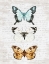 Picture of BUTTERFLY TRIO