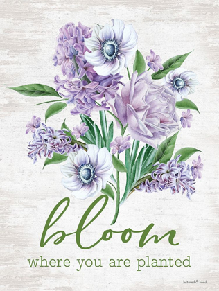 Picture of BLOOM WHERE YOU ARE PLANTED