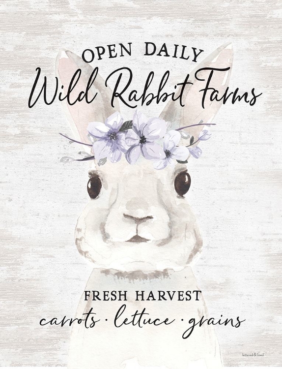 Picture of WILD RABBIT FARMS 2