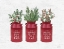 Picture of HOLIDAY GREENERY