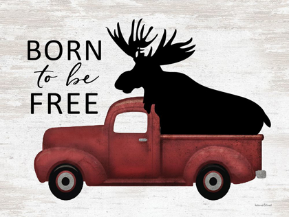 Picture of BORN TO BE FREE MOOSE