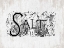 Picture of SALT