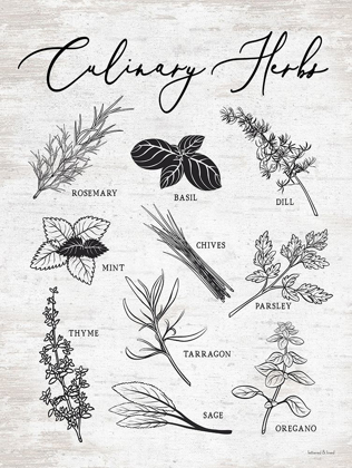 Picture of CULINARY HERBS