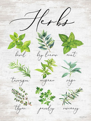 Picture of HERBS