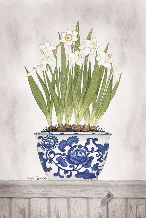 Picture of BLUE AND WHITE DAFFODILS II 