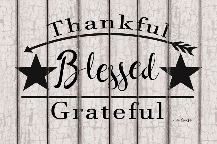 Picture of BLESSED THANKFUL GRATEFUL   