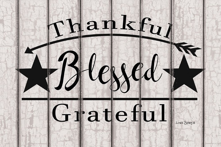 Picture of BLESSED THANKFUL GRATEFUL   
