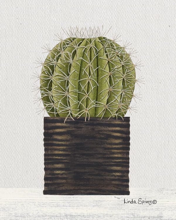 Picture of POTTED CACTUS