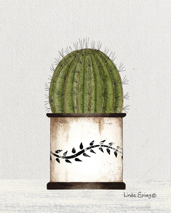 Picture of ROUND CACTUS