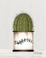 Picture of ROUND CACTUS
