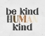 Picture of BE KIND HUMAN KIND