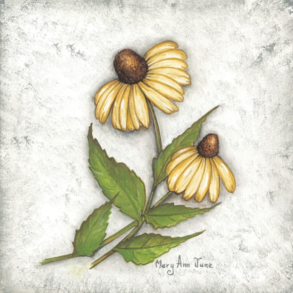 Picture of YELLOW CONEFLOWERS