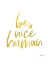 Picture of BE A NICE HUMAN