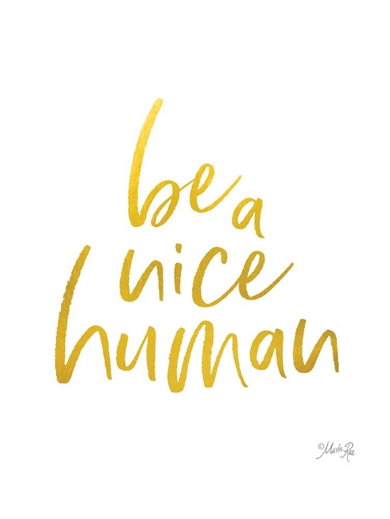 Picture of BE A NICE HUMAN