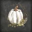 Picture of WHITE PUMPKIN