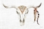 Picture of TRIBAL SKULL I