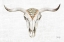 Picture of TRIBAL SKULL III