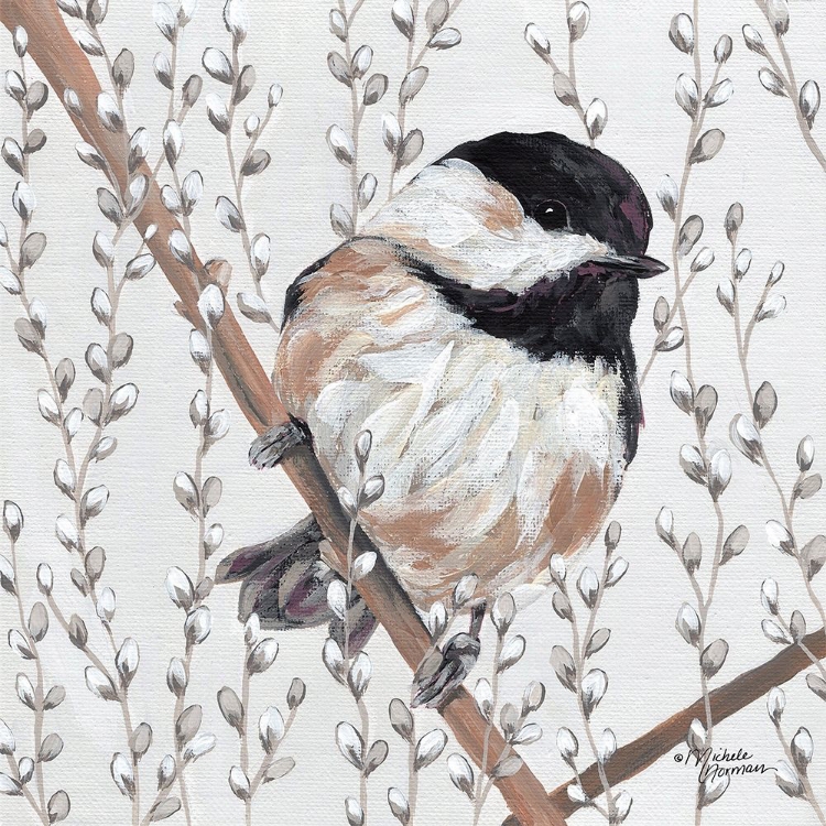 Picture of WEE CHICKADEE