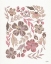 Picture of PRETTY IN PINK PETALS