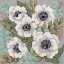 Picture of ANEMONE GARDEN