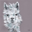 Picture of ALPACA PUNCH