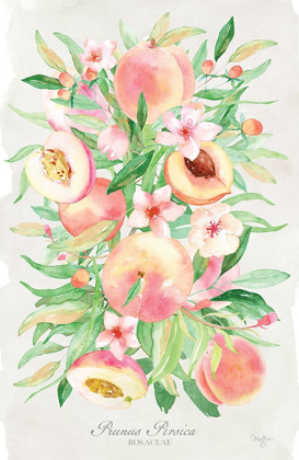 Picture of PEACH BOUQUET