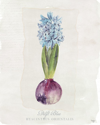Picture of HYACINTHUS ORIENTALIS I