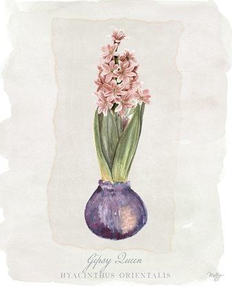 Picture of HYACINTHUS ORIENTALIS II