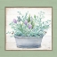 Picture of POT OF HERBS I