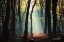 Picture of FOREST BLUES