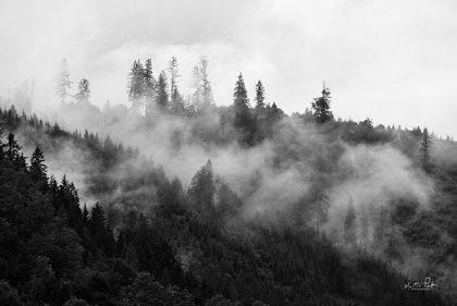 Picture of COVERED BY CLOUDS