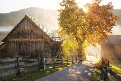 Picture of AUTUMN ROAD