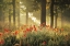 Picture of THE POPPY FOREST
