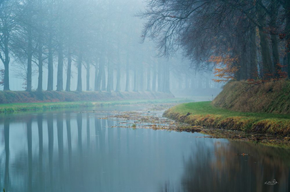 Picture of FOGGY REFLECTIONS   
