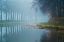 Picture of FOGGY REFLECTIONS   